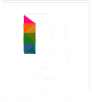 BizAdv Soft logo
